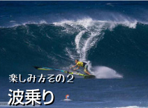 ウインドサーフィンで波乗り