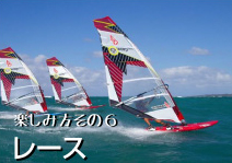 レース